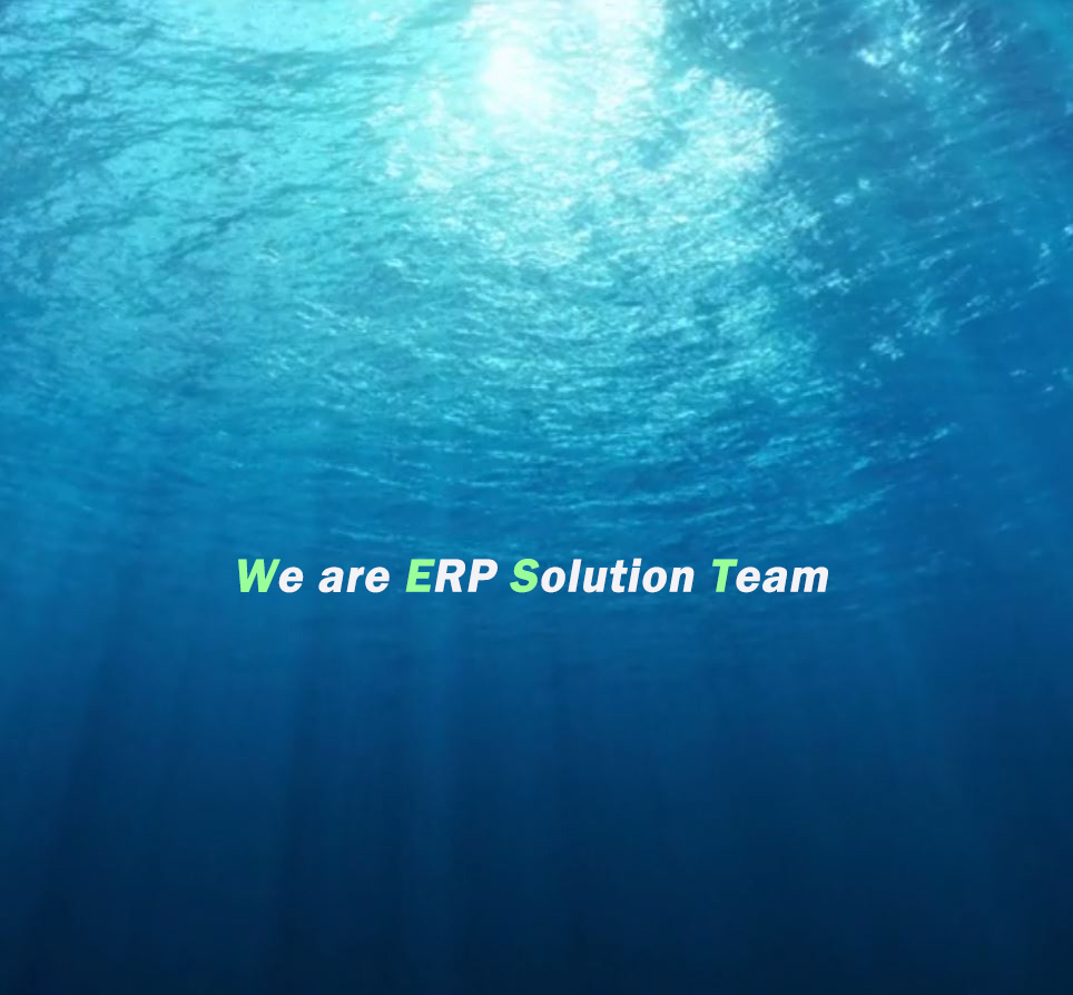 We are ERP Solution Team